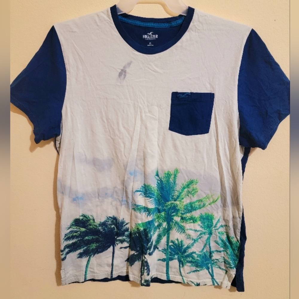 Mens Hollister Vintage Palm Tree Tshirt